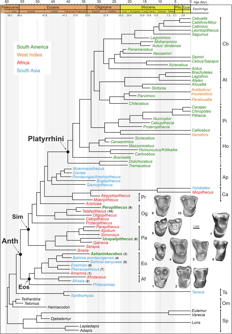 Fig. 2.