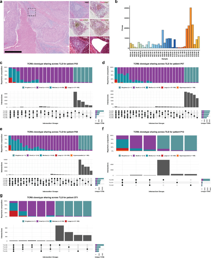 Extended Data Fig. 7 |