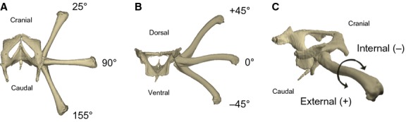 Fig. 5