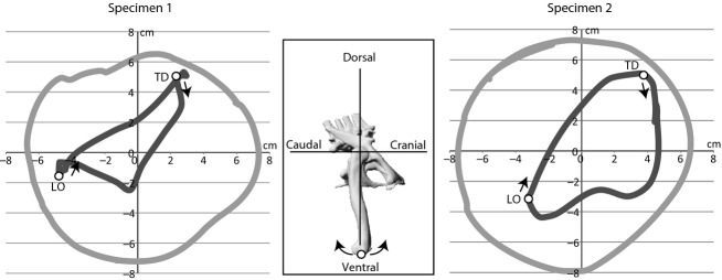 Fig. 10