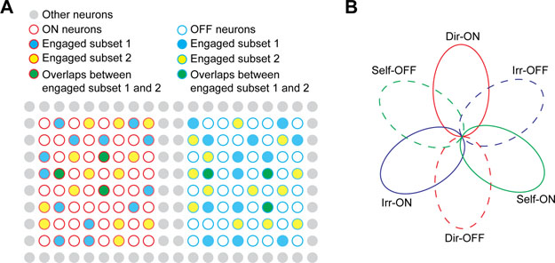 Figure 6: