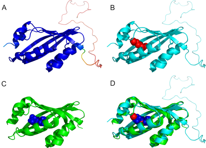 Figure 2.