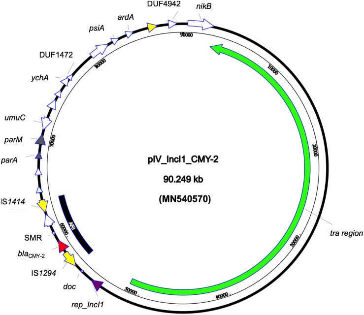 FIGURE 1