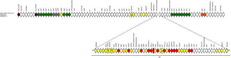 FIGURE 3