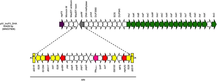 FIGURE 2