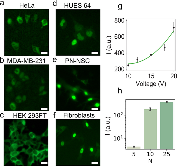 Figure 2.