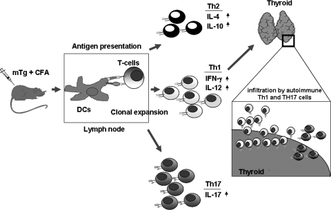 FIG. 1.