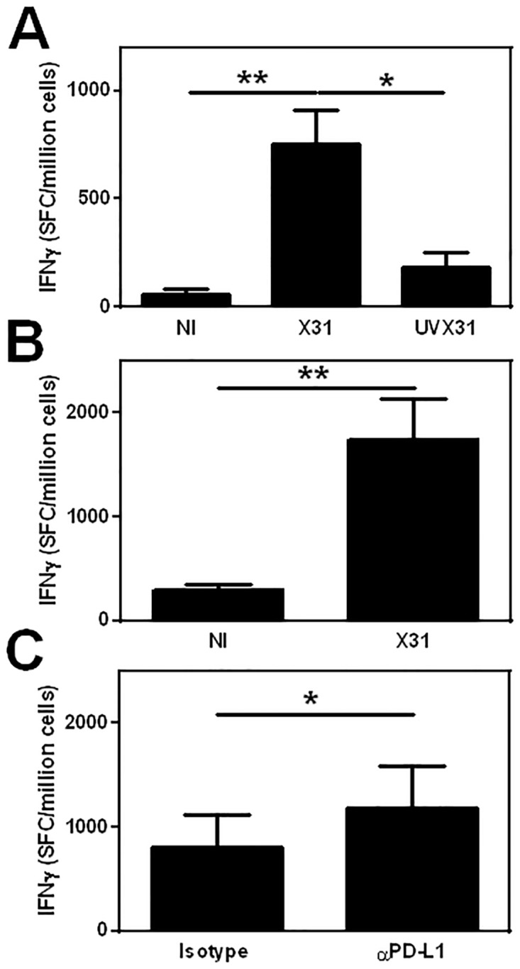 Fig 5