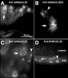 Figure 11.