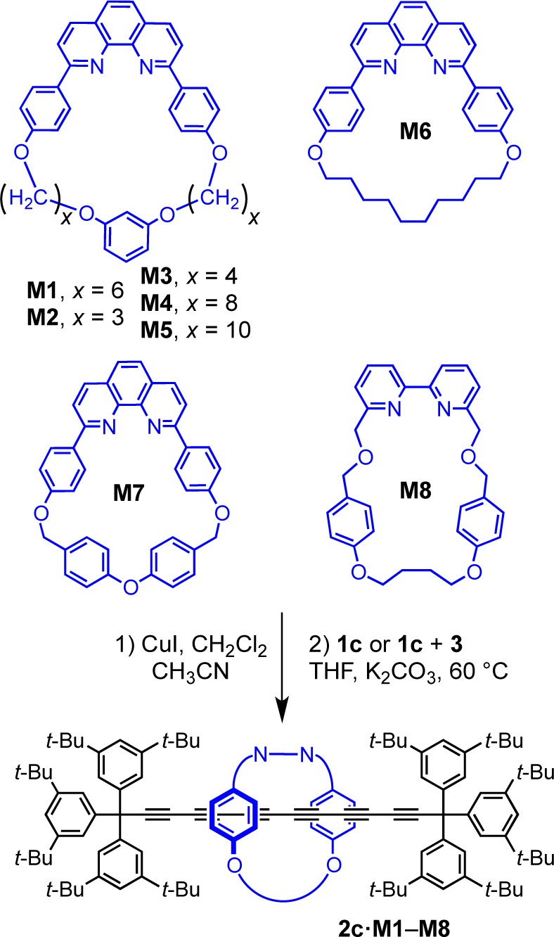 Scheme 6