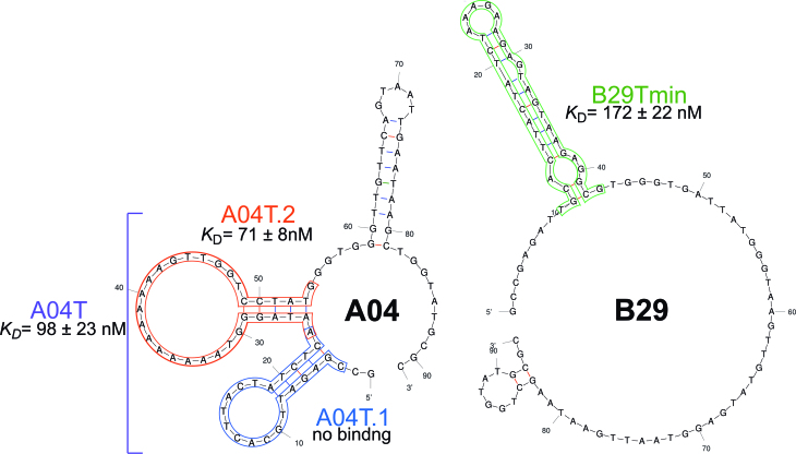 Figure 4.