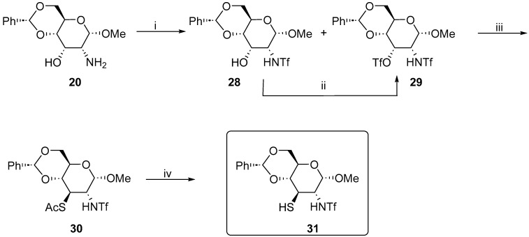 Scheme 6