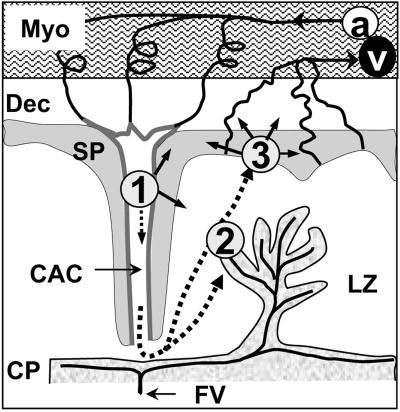 FIG. 7.