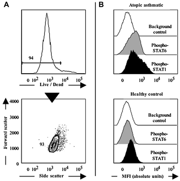 FIG 1