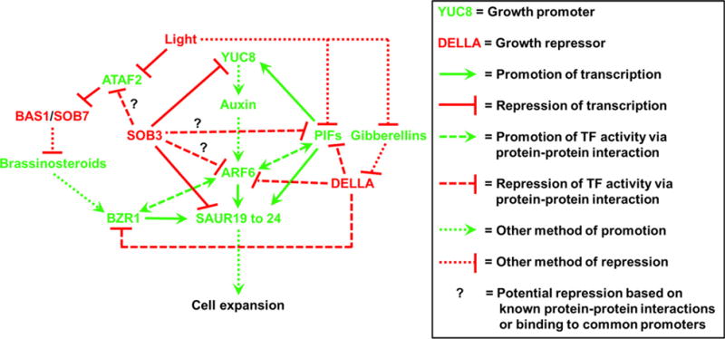 Figure 7