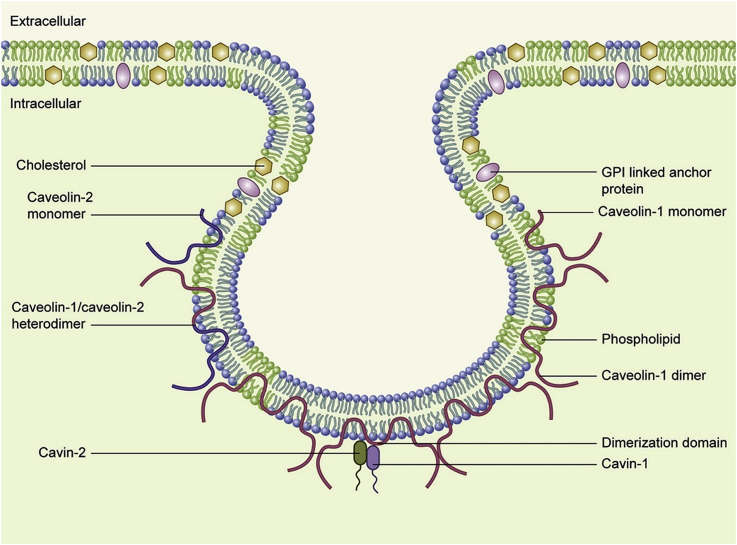 Figure 1