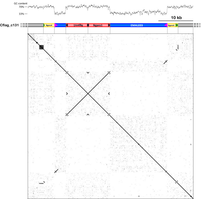 Figure 5—figure supplement 3.