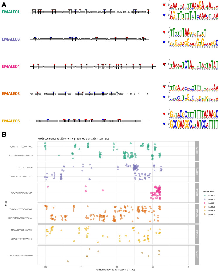 Figure 3—figure supplement 5.