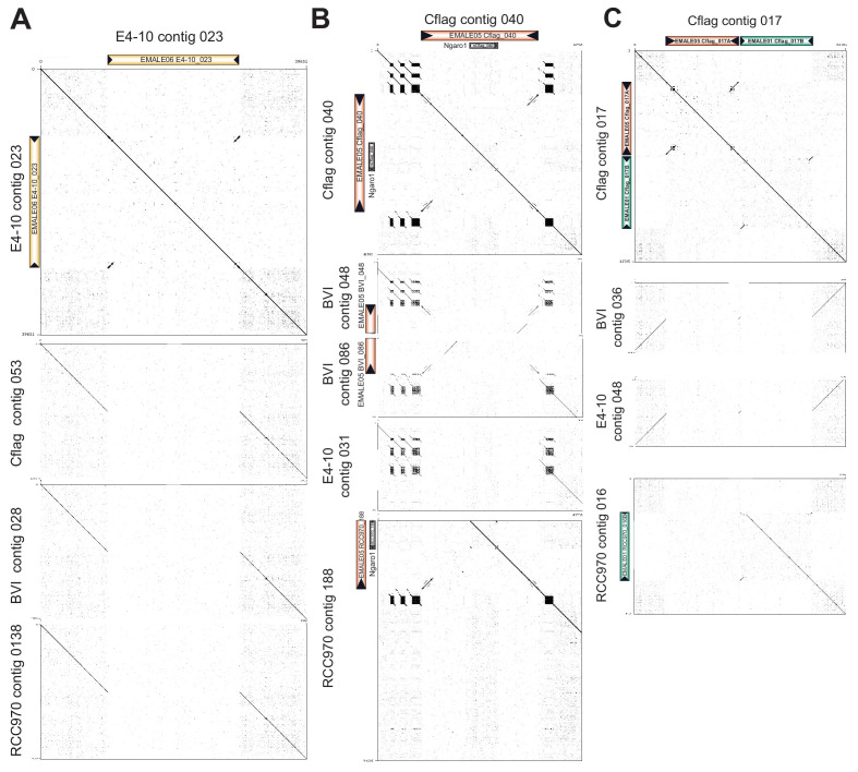 Figure 3—figure supplement 4.