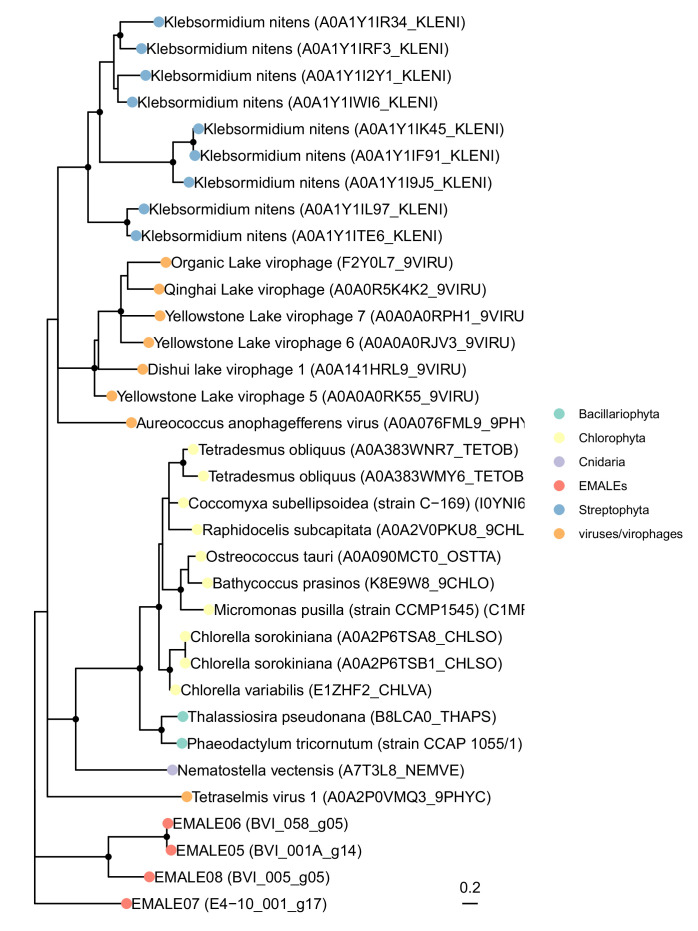 Figure 4—figure supplement 1.