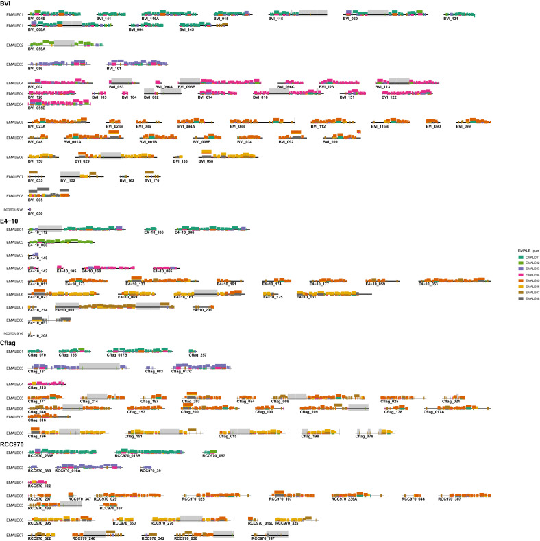 Figure 2—figure supplement 1.