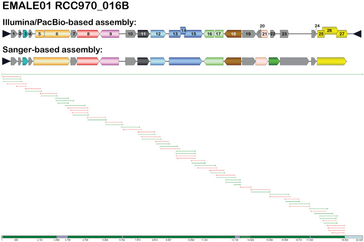 Figure 3—figure supplement 6.