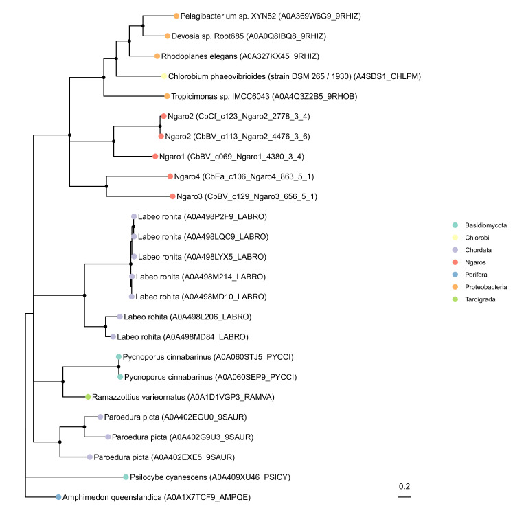 Figure 5—figure supplement 1.