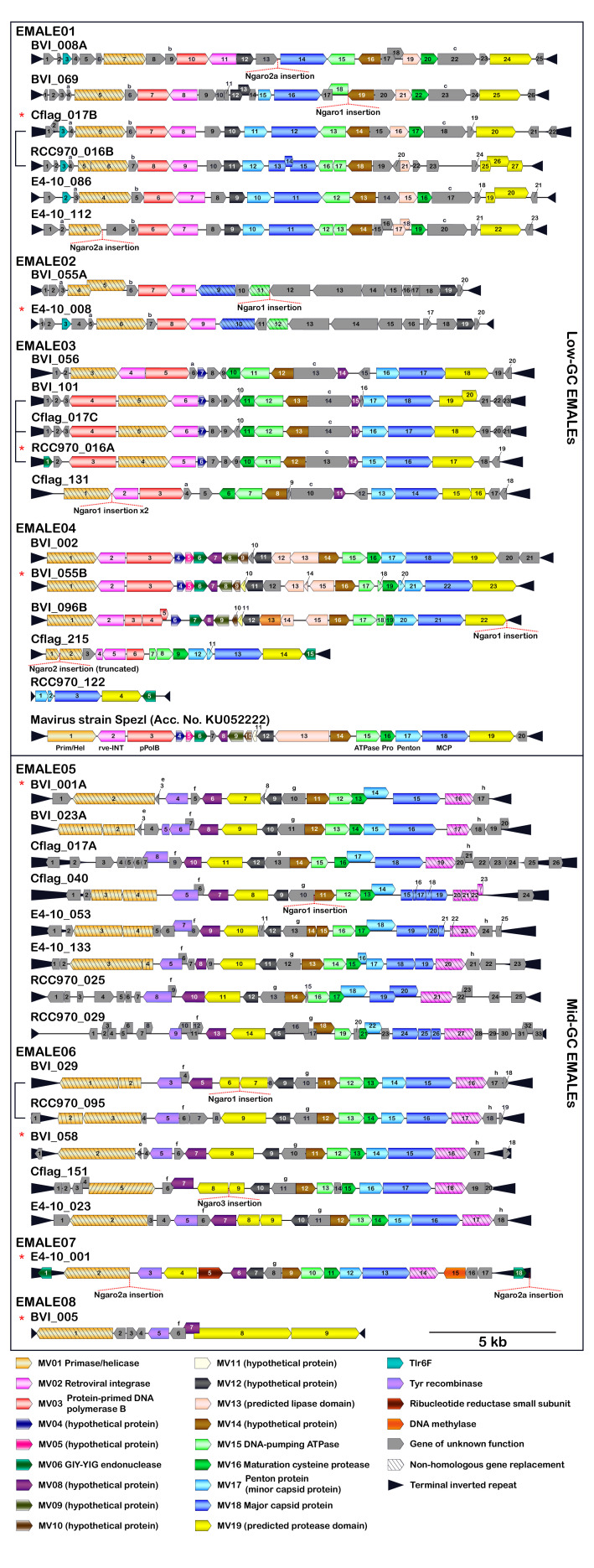 Figure 3—figure supplement 1.