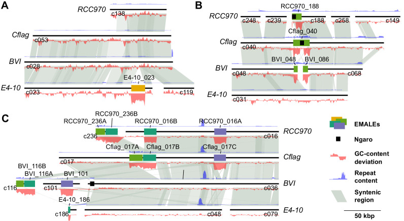 Figure 3—figure supplement 3.