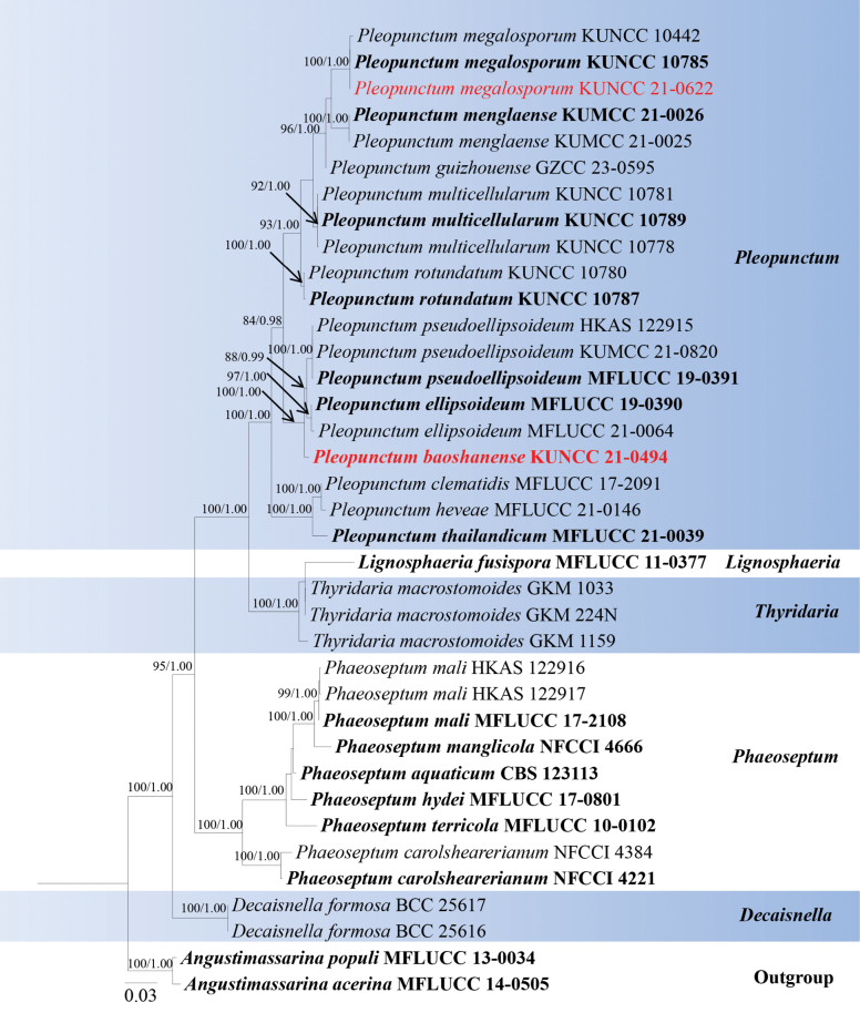 Figure 3.