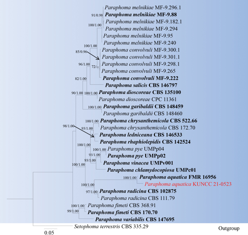 Figure 4.