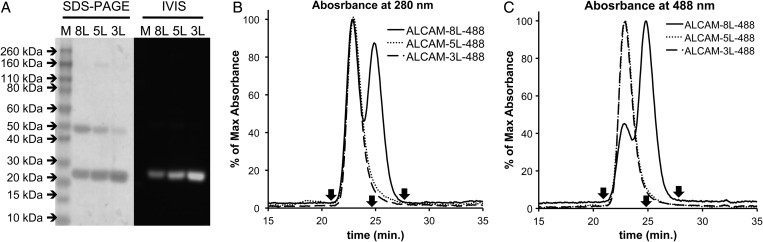 Fig. 2.