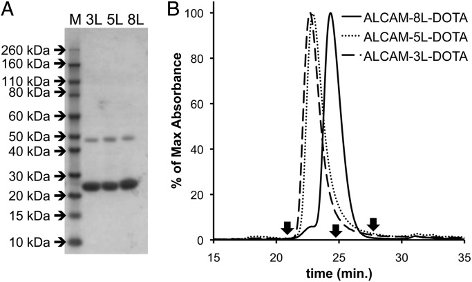 Fig. 3.