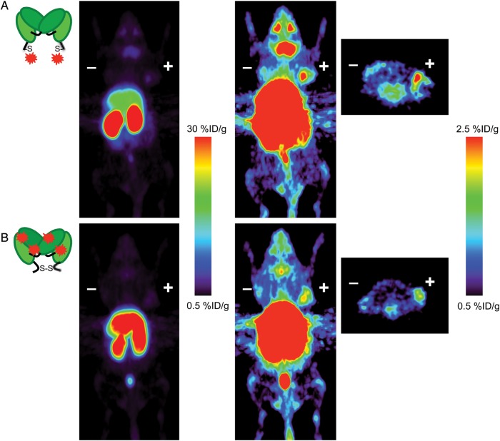 Fig. 4.