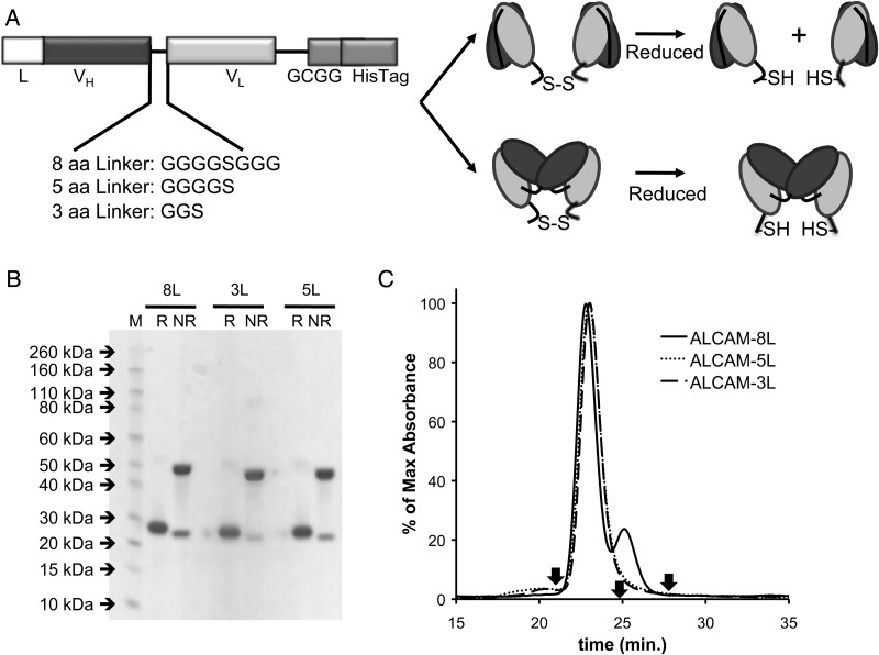 Fig. 1.