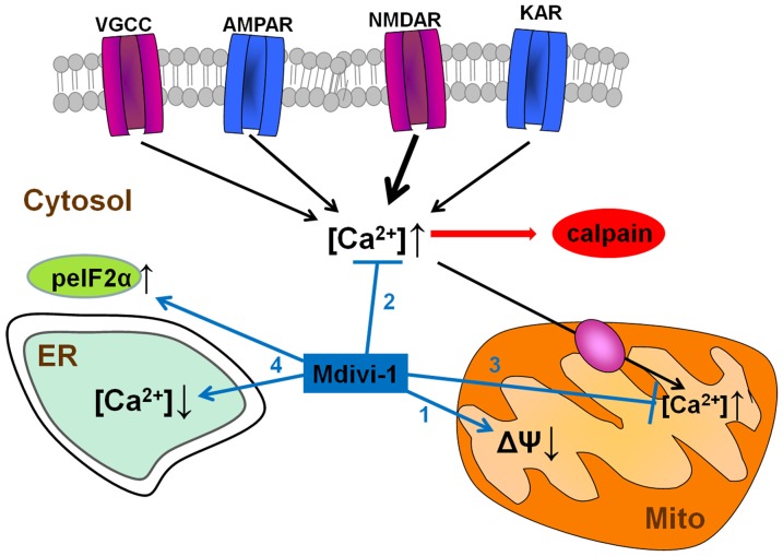 Figure 9