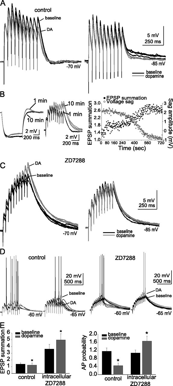 Figure 11.