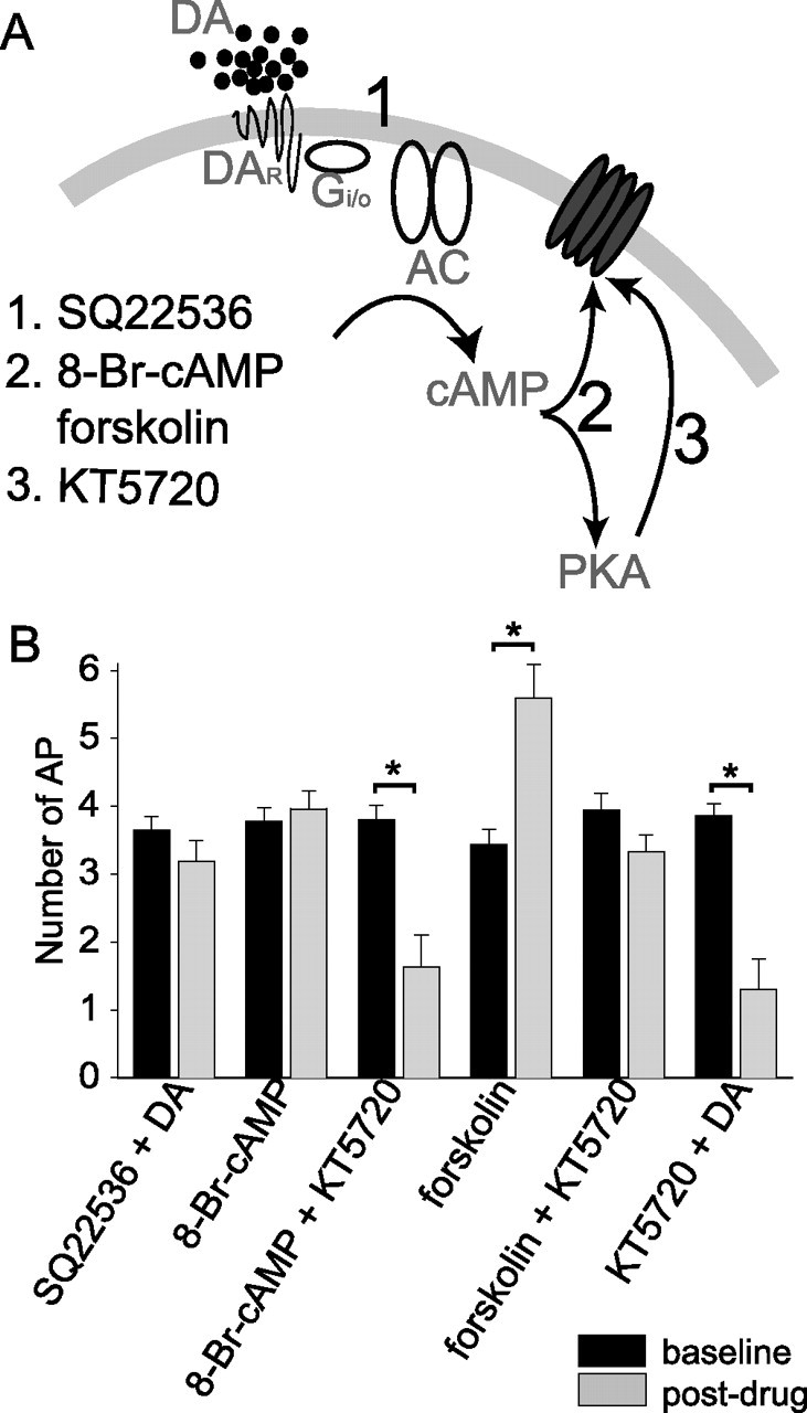 Figure 10.