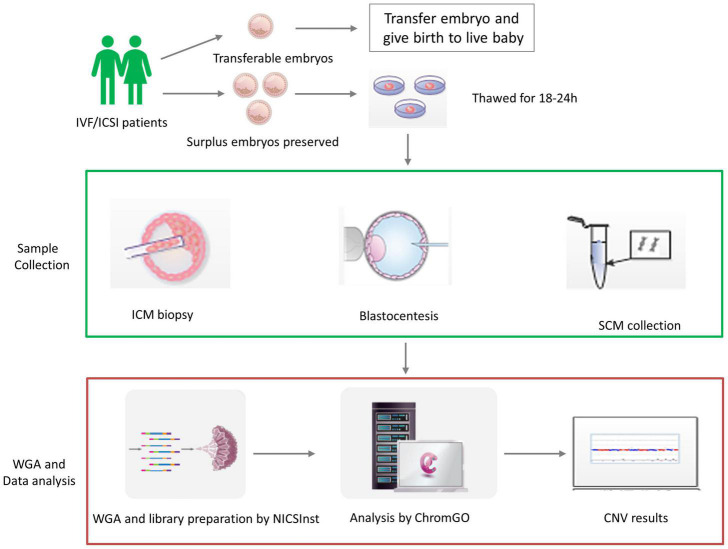 FIGURE 1