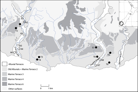 Fig. 1