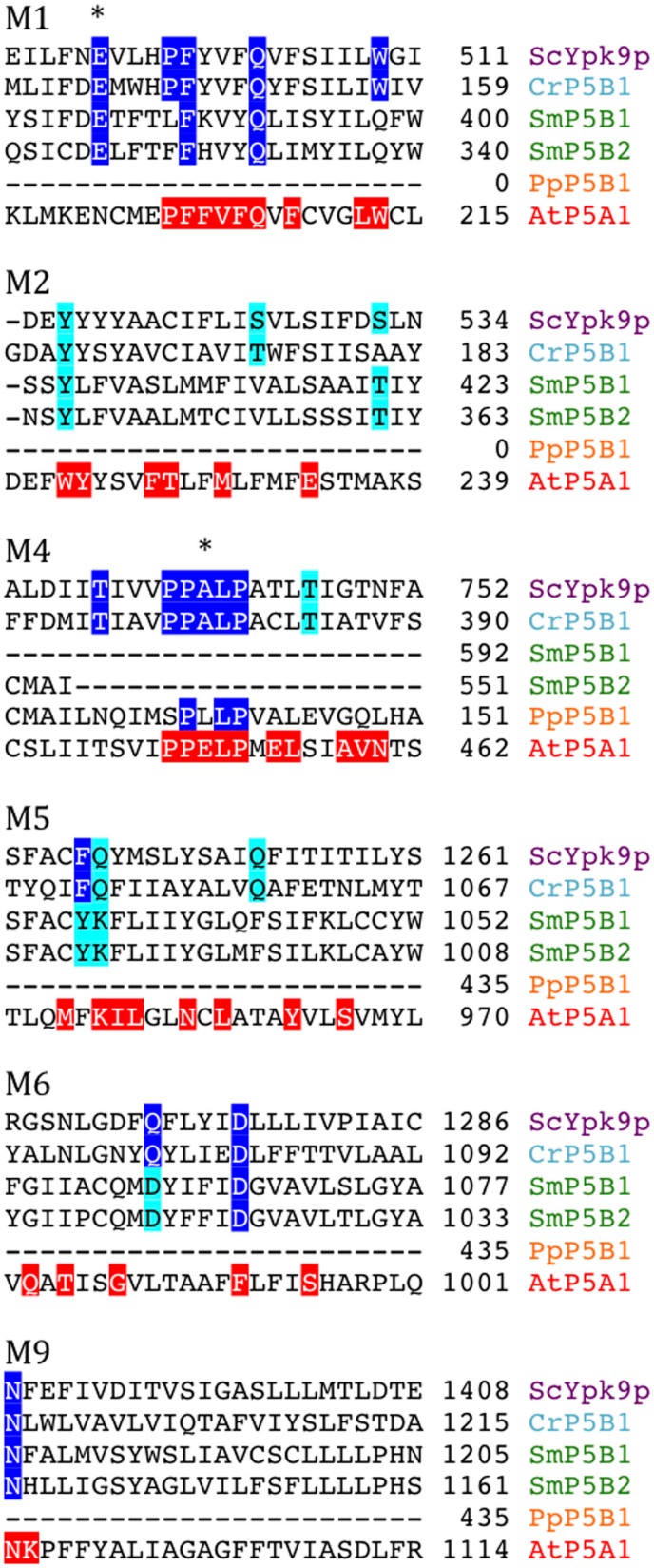 Figure 14