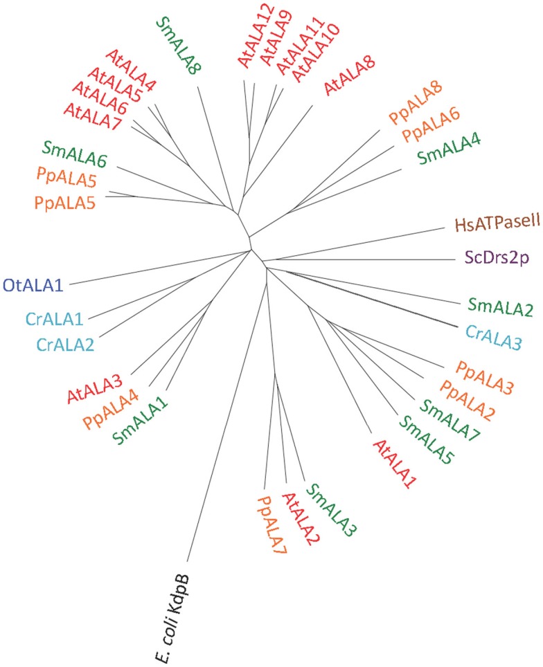 Figure 12