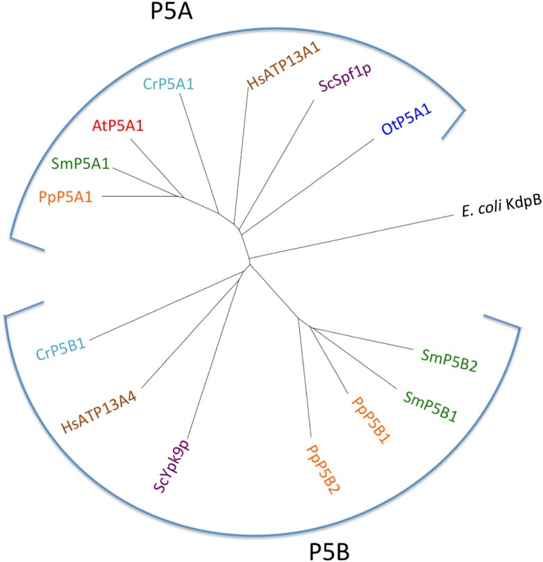 Figure 13