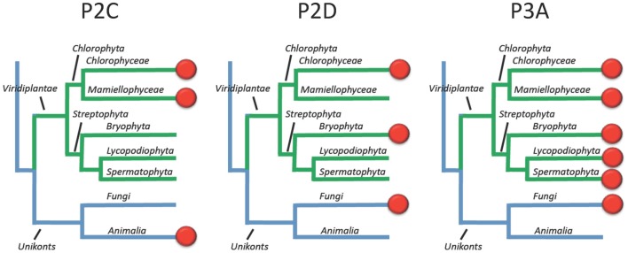 Figure 15