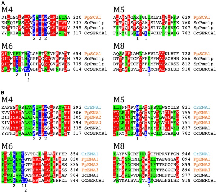 Figure 6