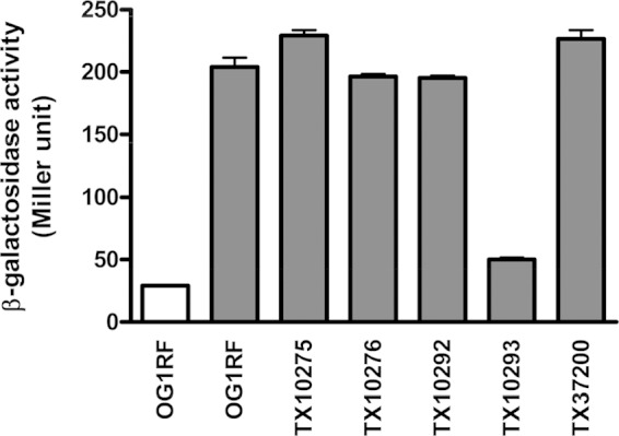 FIG 1