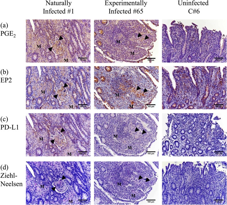 FIG 6