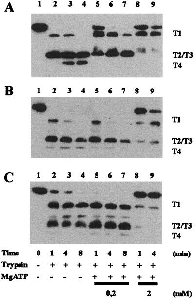 FIG. 3