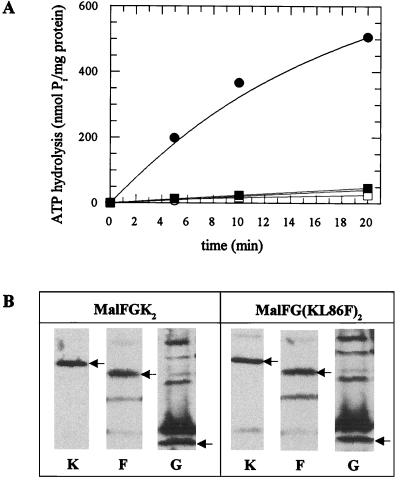 FIG. 5