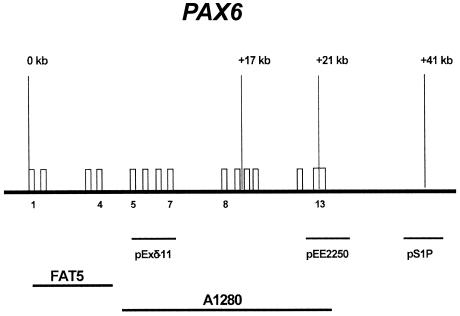 Figure  4